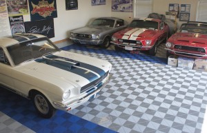 Some of Musselwhite's Mustangs 